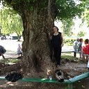 ���� Gohar, ������, 63 ���� - ��������� 15 ���� 2013