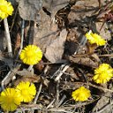 ���� Tatyana-sadygova, ����������, 55 ��� - ��������� 11 ������ 2012 � ������ �:)�