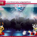  ,  , 23  -  11  2010   PetLove