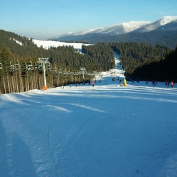 Vis`a`vis, �����������