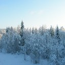  Serzh Van Der Maaremaan,  -  1  2009    