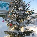 ���� �����, �������, 48 ��� - ��������� 5 ������ 2010 � ������ ���� �������