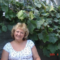 ���� ������, ������������ - ��������� 8 ������ 2011