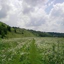 ���� ���, ����, 40 ��� - ��������� 10 �������� 2010 � ������ ���� ������ � ���� ���� ���� 2010�