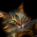 ���� ��������, ���� - ��������� 2 ������ 2013 � ������ ���� ����������