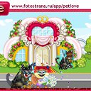  , , 40  -  11  2011   PetLove