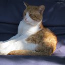 ���� ������, ������, 70 ��� - ��������� 1 ������� 2011 � ������ �RoadKing�