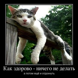 ���� ������, ������, 48 ��� - ��������� 14 ������� 2012