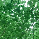 ���� [Pelmen`], ����������, 26 ��� - ��������� 16 ������� 2012 � ������ �������