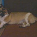 ���� ����, ������, 35 ��� - ��������� 10 ������� 2011 � ������ �RoadKing�