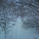 ���� Ludmila, ����, 66 ��� - ��������� 27 ������� 2013 � ������ ���� ����������