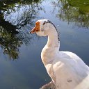 ���� ����� - ���������� ��������!!!, �����������, 56 ��� - ��������� 3 ������� 2009 � ������ �������