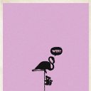 ���� ���, ������������ - ��������� 18 ������� 2010 � ������ �WTF?�