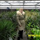 ���� �����, �����, 42 ���� - ��������� 10 ��� 2013 � ������ ���� ����������