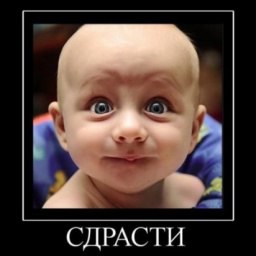 �������� �����, ����, 43 ����