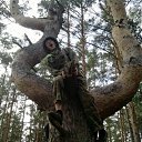 ���� �������, ������, 33 ���� - ��������� 10 ������� 2011 � ������ ���� ����������