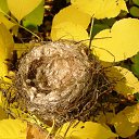 ���� ������ ����������, ����-�����������, 52 ���� - ��������� 11 ������ 2012 � ������ ���� ����������