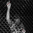 ���� �����, �������� - ��������� 26 ���� 2013 � ������ ���� ����������