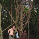 ���� ��� ��������, ������, 46 ��� - ��������� 23 ���� 2012