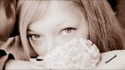 �������, �����������, 33 ����