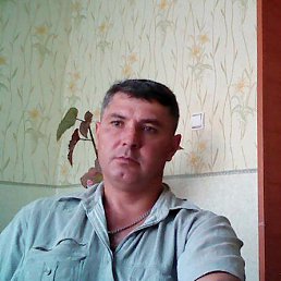 ����������, ������, 53 ����