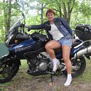  , , 61  -  3  2011     , 