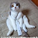 ���� ����������, �����, 24 ���� - ��������� 25 ������ 2011 � ������ ����������� �����