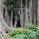 ���� ������, ���������, 65 ��� - ��������� 18 ������� 2012 � ������ ���� ����������