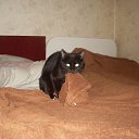 ���� Kalisha, ���������, 45 ��� - ��������� 12 ������ 2010