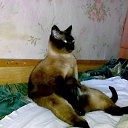 ���� Vitalik, �����-��������� - ��������� 27 ������� 2009 � ������ ���������� ������