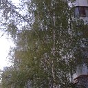 �� ����� �� ������� �������