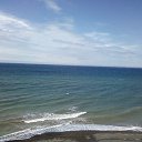  , --, 55  -  16  2010   