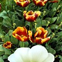  ,  -  3  2012     ӻ