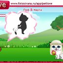  ,   -  6  2010   PetLove