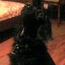 ���� ������, ����� - ��������� 12 ������� 2011 � ������ ���� ��������