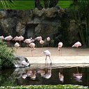 ���� ����, ����, 57 ��� - ��������� 21 �������� 2012 � ������ ������� ���� �������