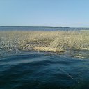 ���� ������)....., �����, 43 ���� - ��������� 3 ����� 2012 � ������ ���� ����������