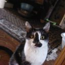   ,  -  26  2013        =)