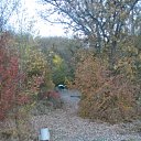     ,       .    - ,   -   !!!      2011 - 2