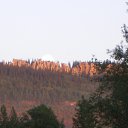 ���� Dimarik 7475, ������, 50 ��� - ��������� 6 ������ 2010 � ������ �PetLove�