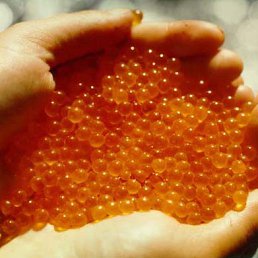 ���� ��������, ����-�����, 47 ��� - ��������� 18 ������ 2011