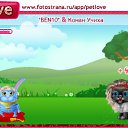 , -, 33  -  13  2010   PetLove
