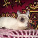 ���� ����������, ������, 45 ��� - ��������� 17 �������� 2009 � ������ ���� ����������