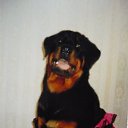 ���� �����, ������, 58 ��� - ��������� 24 ���� 2009 � ������ �����