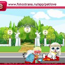  , , 41  -  26  2011   PetLove