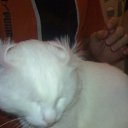 ���� Wer, ������, 57 ��� - ��������� 5 ����� 2010 � ������ �������-������