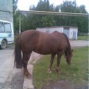 ���� ����, ������� ������ - ��������� 26 ������ 2011 � ������ ���� ����������