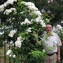 ���� �������, ������-���, 68 ��� - ��������� 29 ���� 2013 � ������ �������� ������. ���: 66-02-85�