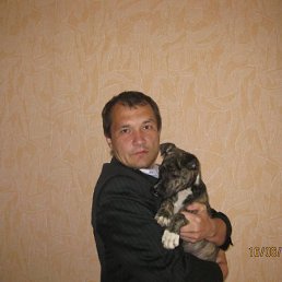alex, 49, 