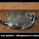 ���� ������, ������ - ��������� 26 ������ 2012 � ������ �������